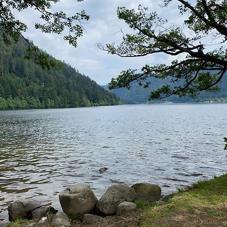 Charmant Chalet, Spacieux, Proche Du Lac, Vue Sur La Montagne Gérardmer Dış mekan fotoğraf