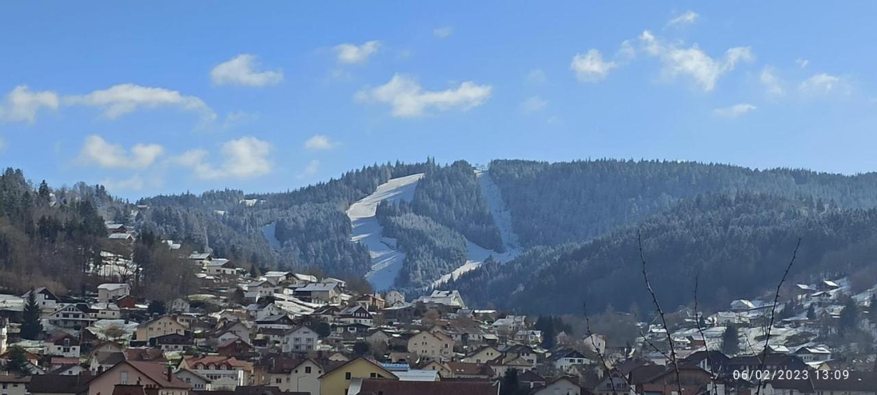 Charmant Chalet, Spacieux, Proche Du Lac, Vue Sur La Montagne Gérardmer Dış mekan fotoğraf