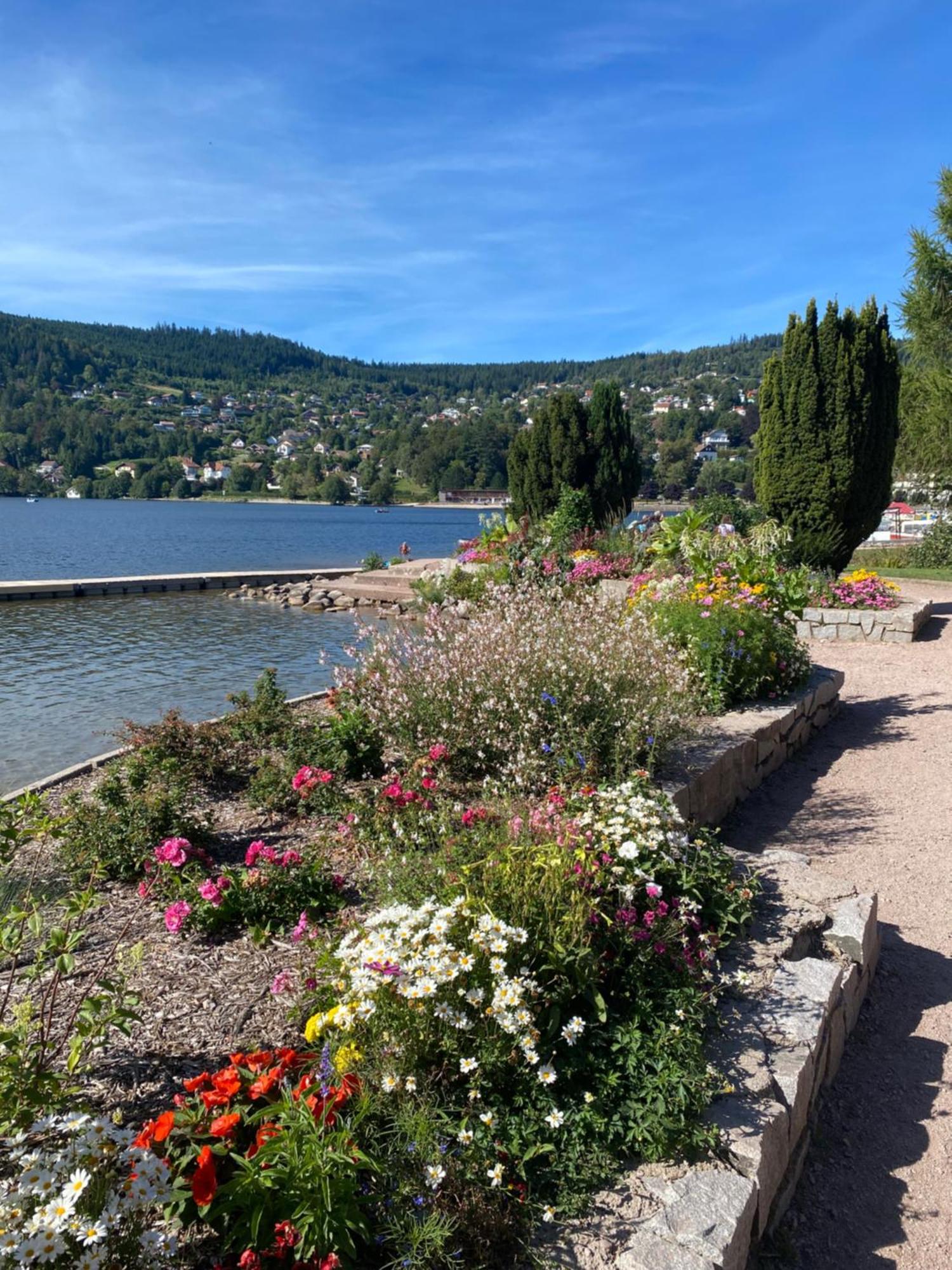 Charmant Chalet, Spacieux, Proche Du Lac, Vue Sur La Montagne Gérardmer Dış mekan fotoğraf