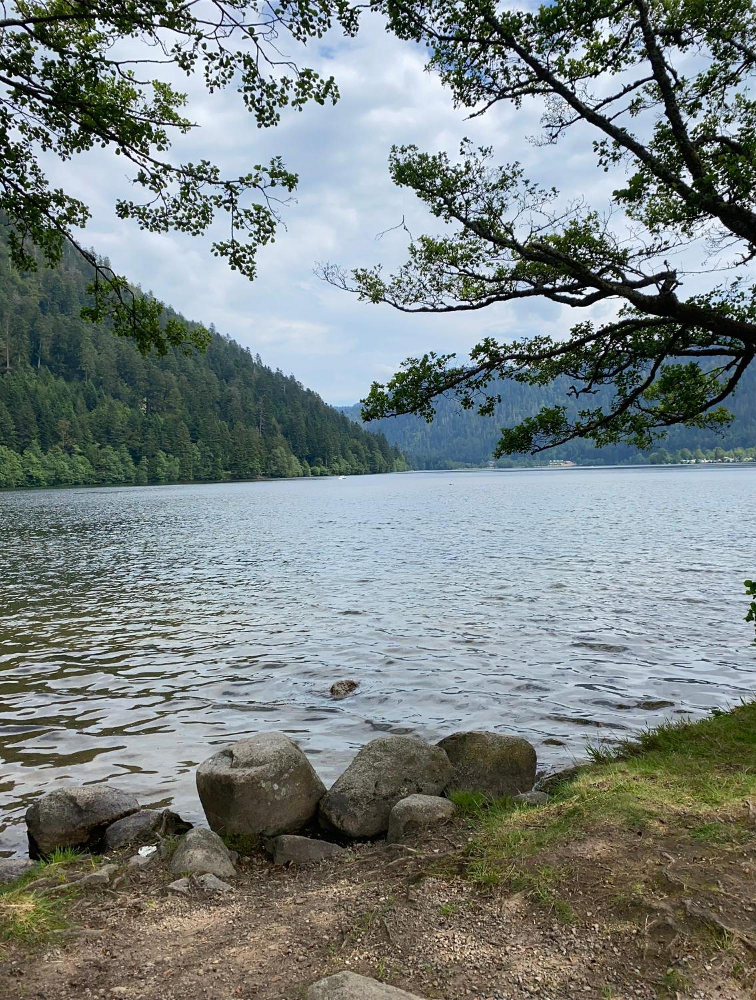 Charmant Chalet, Spacieux, Proche Du Lac, Vue Sur La Montagne Gérardmer Dış mekan fotoğraf